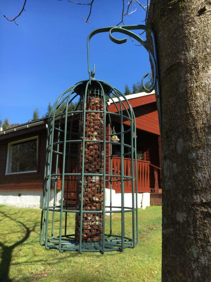 Stravaigin Lodge Данун Екстер'єр фото